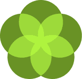 Isotipe Shipsbloom